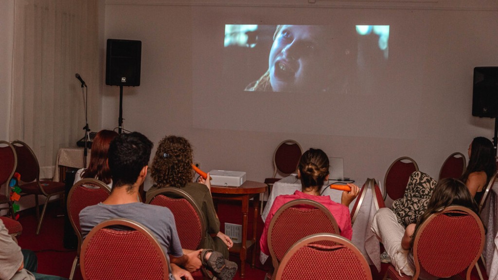 frilingue_kamp_movie_night