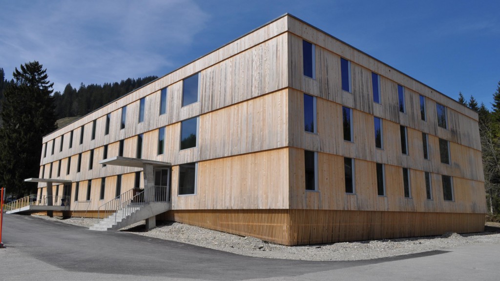 frilingue_kamp