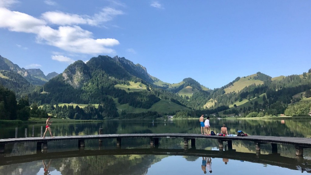 frilingue_kamp_priroda-1